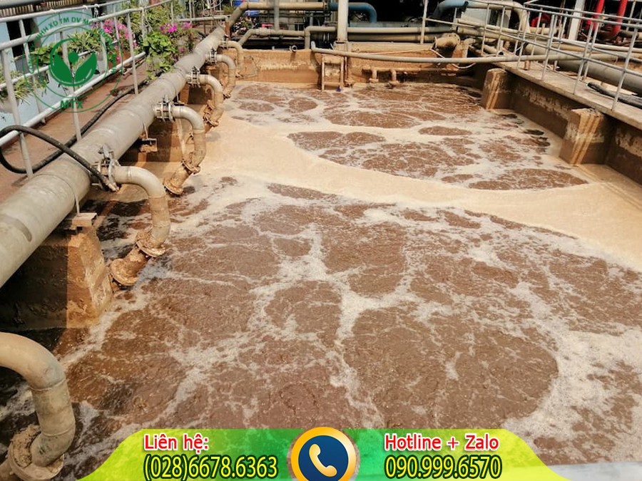 C&ocirc;ng ty cung cấp b&ugrave;n vi sinh B&igrave;nh Dương chất lượng h&agrave;ng đầu