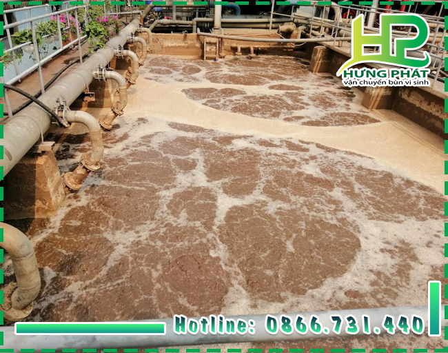 Cung cấp vận chuyển b&ugrave;n vi sinh quận 2 đảm bảo chất lượng tốt nhất