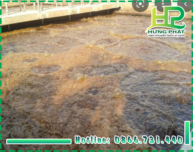 Cung cấp vận chuyển b&ugrave;n vi sinh quận 2 thi c&ocirc;ng nhanh ch&oacute;ng v&agrave; tiện lợi