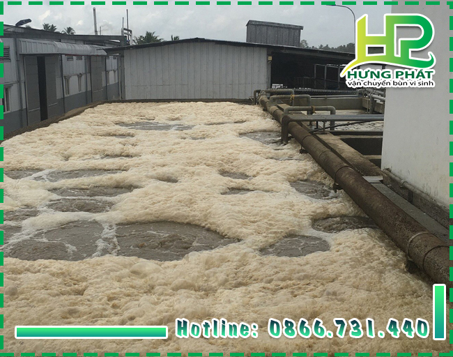 Cung cấp vận chuyển b&ugrave;n vi sinh quận 2 cam kết đạt hiệu quả cao nhất
